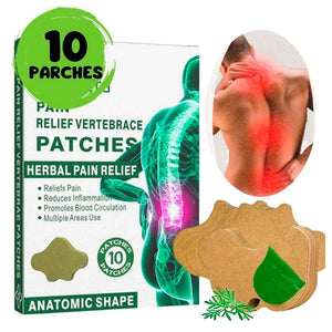 Parches Antinflamatorios Naturales ✨PAIN RELIEF NECK 10pzs✨