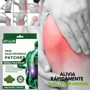 Parches Antinflamatorios Naturales ✨PAIN RELIEF NECK 10pzs✨